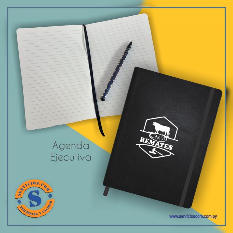 03 - Agenda